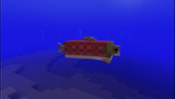 Salmon