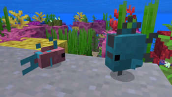 Tropical Fish