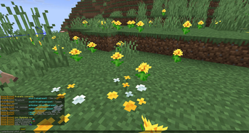 Command Showcase