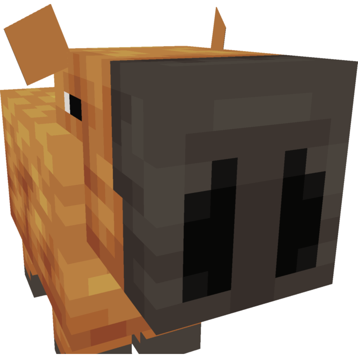 Snapshot MC