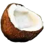 Coconut Aeronautics