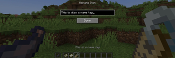 Item Renaming Screen