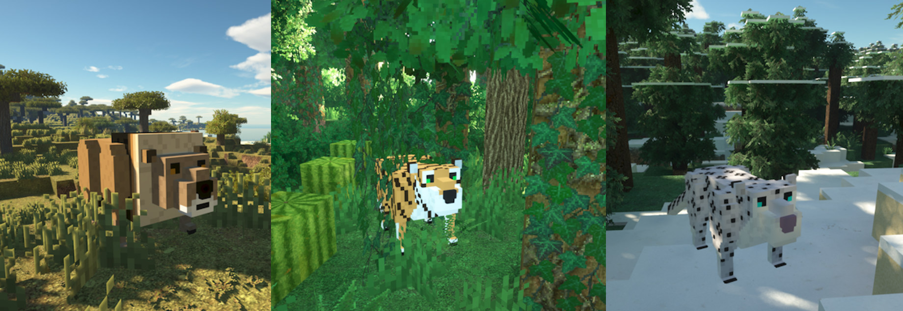 Hostile animal