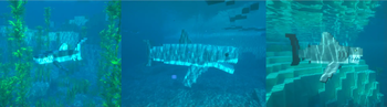 Sharks