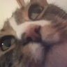 Jules_
