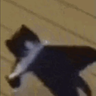 Artemis Pack