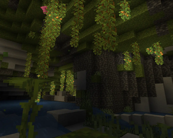 Pro Fulbright — screenshot 1