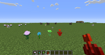 New Flowers