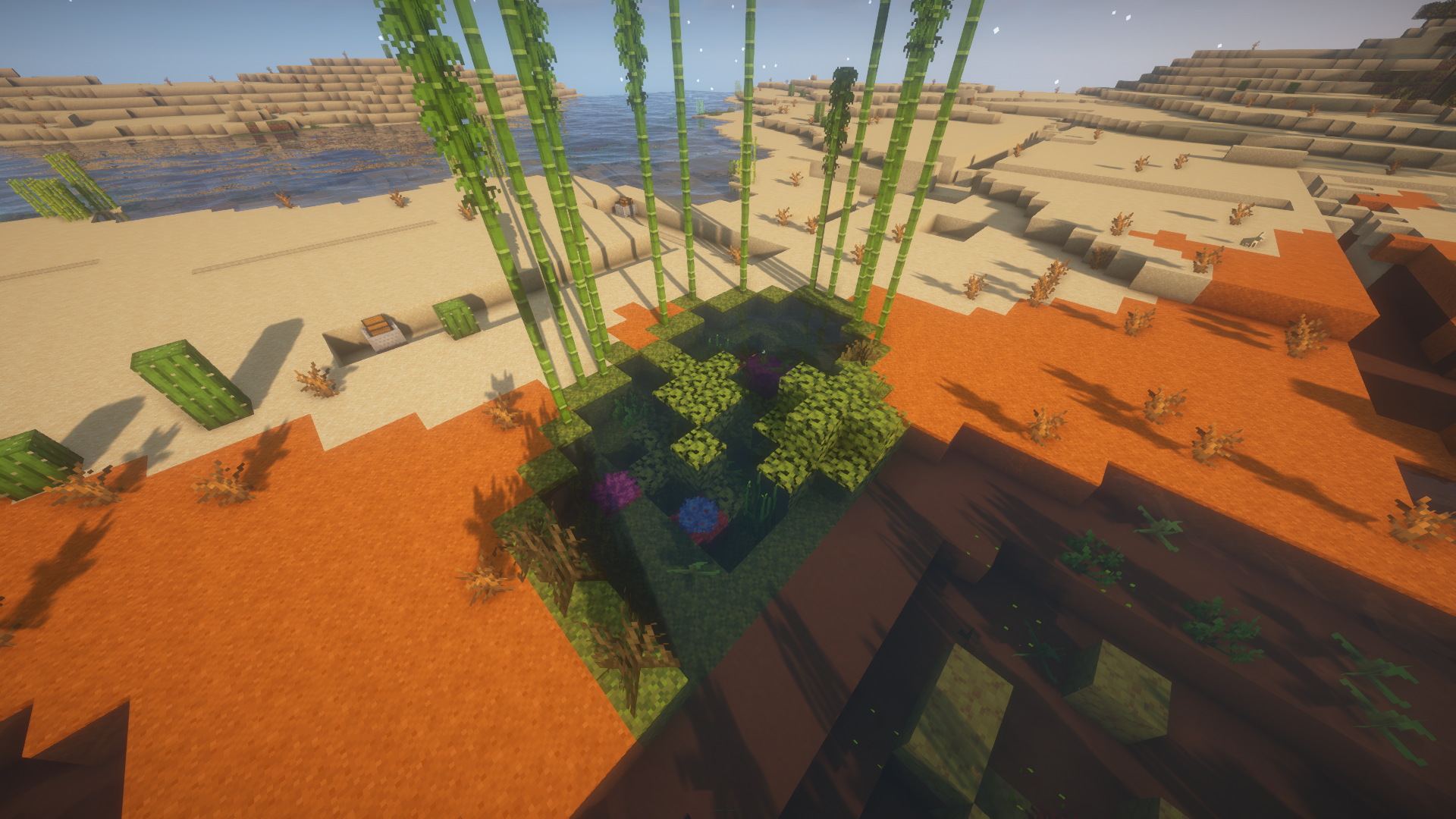 Oasis Biome. The Oasis biome is one of the rarest…