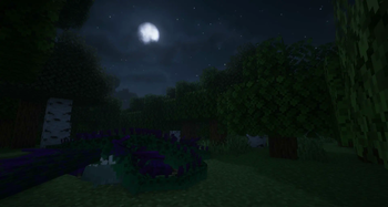 Fart & Smella sleeping under the moonlight