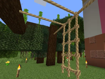 Rope