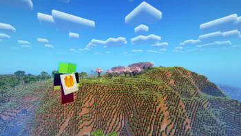 Shader Support