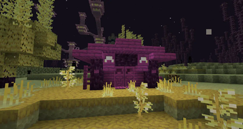 Blocks