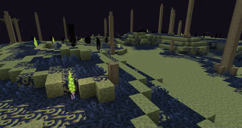 Phantom Marsh 2