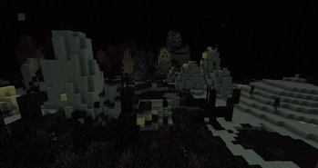 Echovoids + Endercon