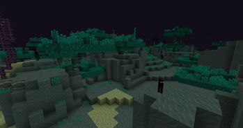 Yet another warped end biome