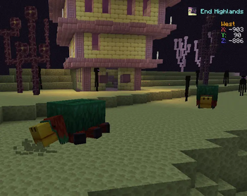 Sniffer digging on endstone UNBELIEVABLE