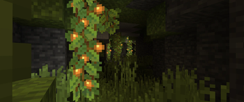 A small cave teeming with plant life
