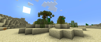 A desert oasis