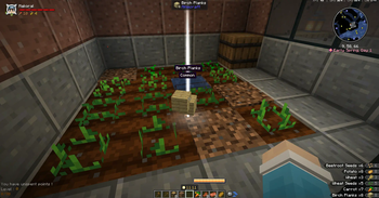RPG Hud