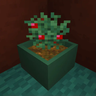 Botany Pots Depot