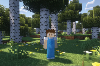Shader packs