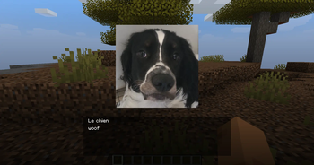Text with Image