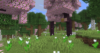 Flower Forest