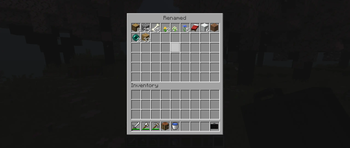 Renamed Suitcase