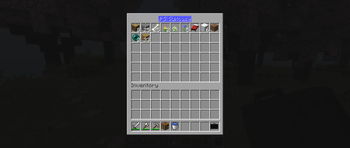 Rename Feature