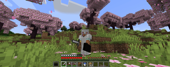 Multiplayer look