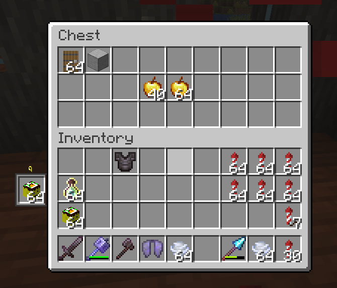 chest view