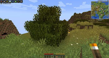Fluffy Trees