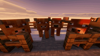 New cows!