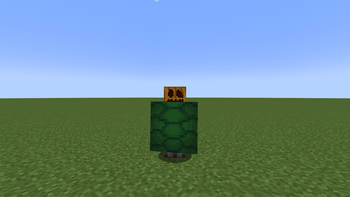 Turtle Shield