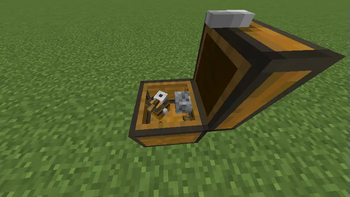 Trapped Chest