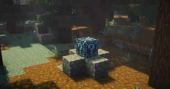 A Gambling Cube In The Wild