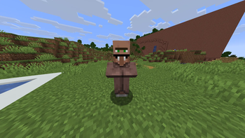 With resourse pack