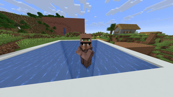 Villager swims
