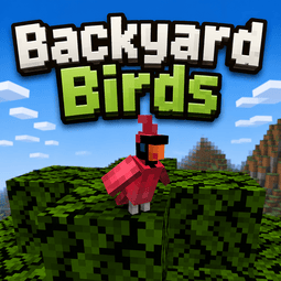 Backyard Birds