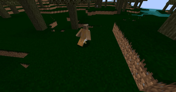 Backyard Birds — screenshot 7