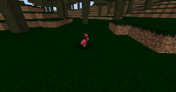 Backyard Birds — screenshot 6
