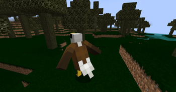 Backyard Birds — screenshot 3