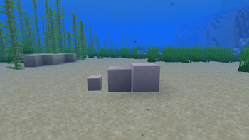Salt Blocks