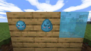 Blocks & Items