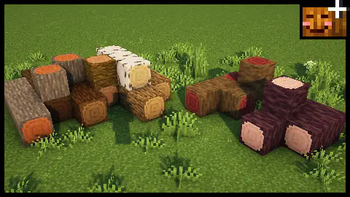 ColdTom's Pumpkin craft
