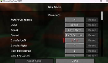 Key binding found in controls