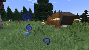 A Battle!