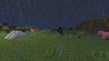 Vampire Hunter Camps
