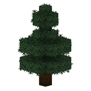 Spruce tree